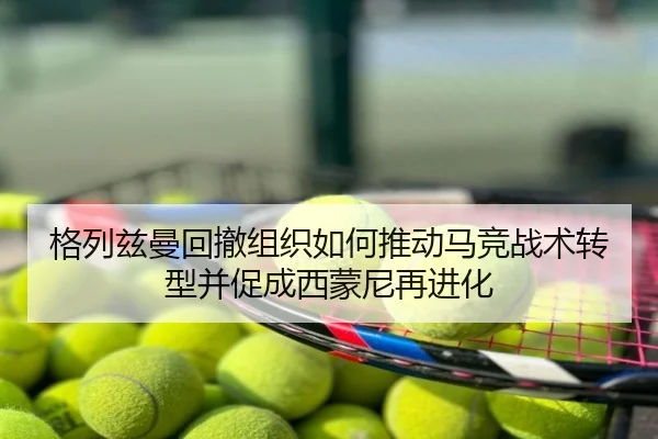 格列兹曼回撤组织如何推动马竞战术转型并促成西蒙尼再进化